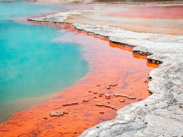 Levendige turquoise en feloranje geothermische poel in Wai-O-Tapu Thermal Wonderland.